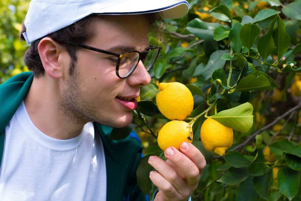 Limone di Siracusa SICILIANO IGP