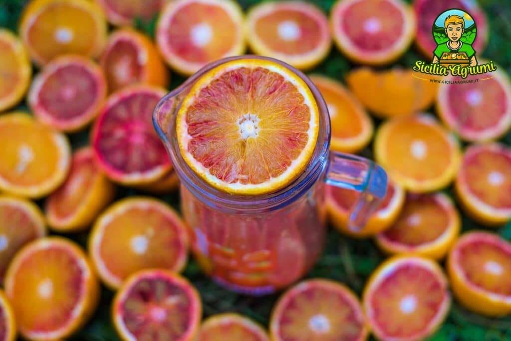 Red Oranges Tarocco and Moro