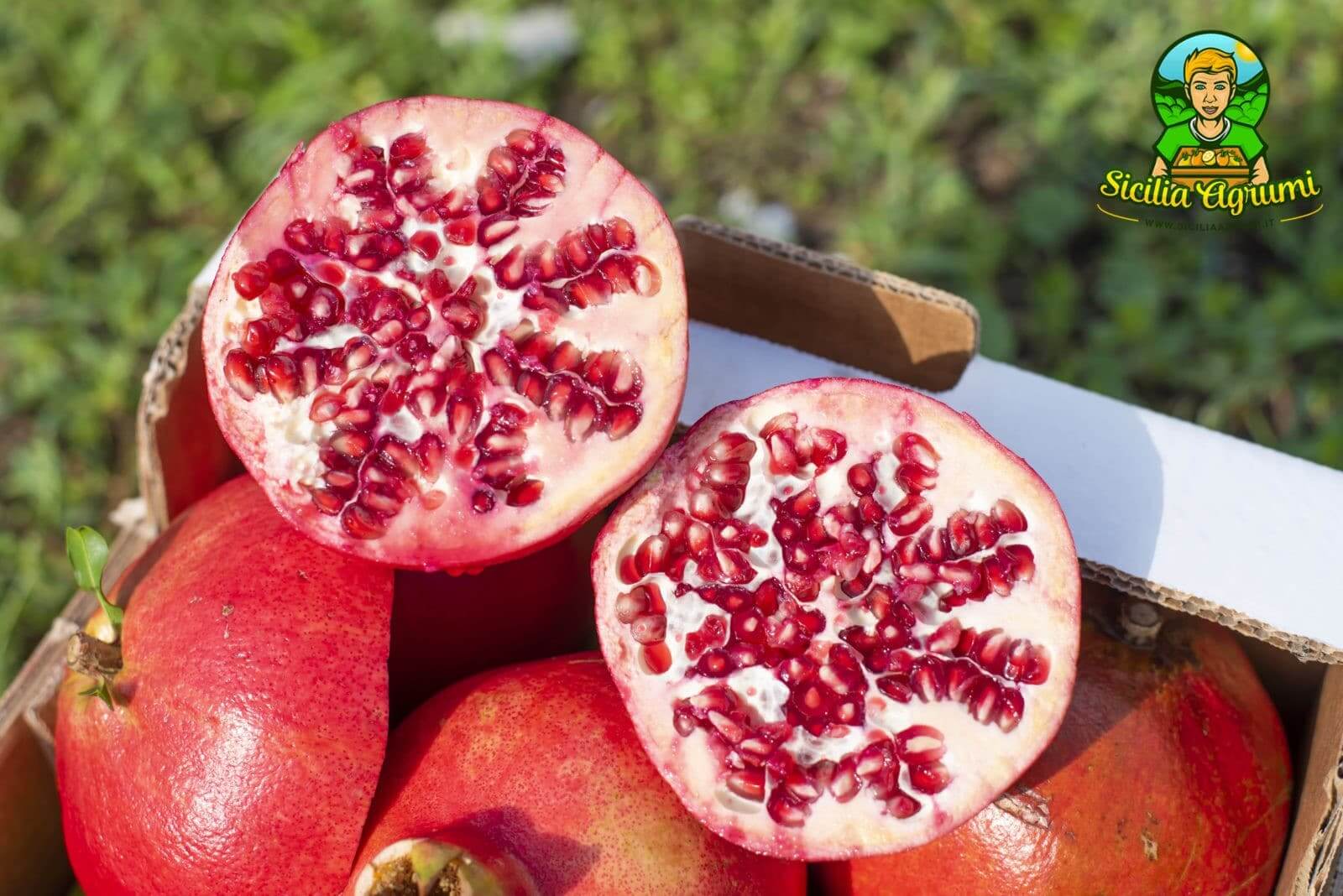 Box Melograno Agrodolce da Spremuta - Sicilia Agrumi