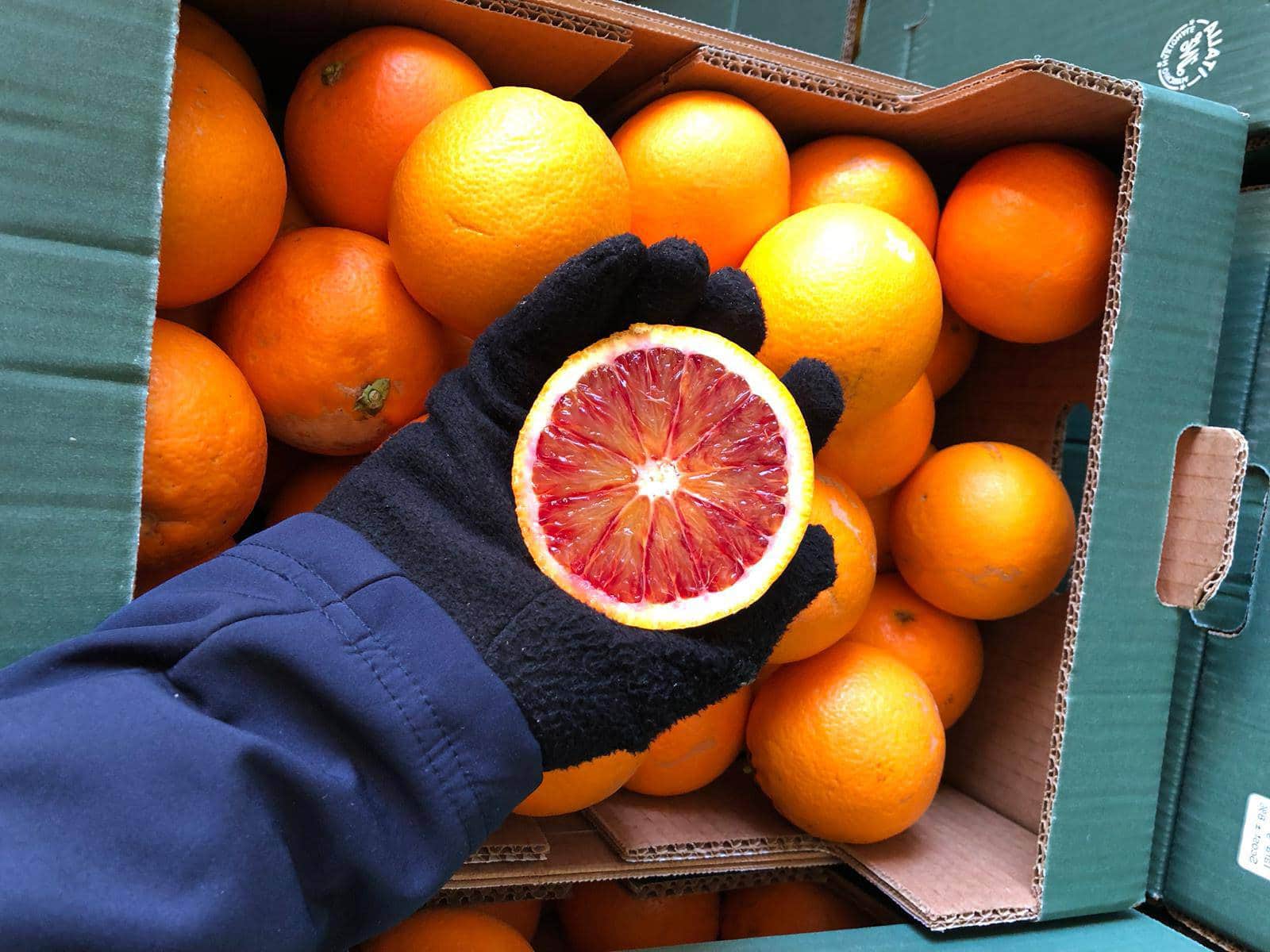 Blood Oranges BIO