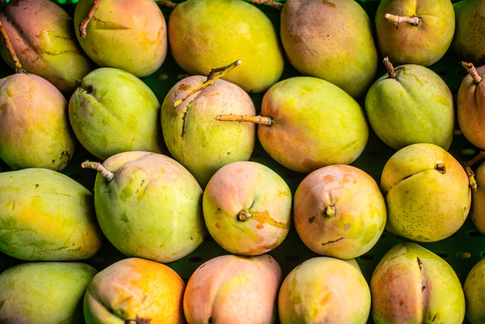 Sycylijskie mango