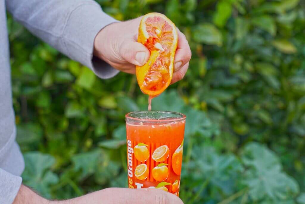 Sicilian red juicing oranges