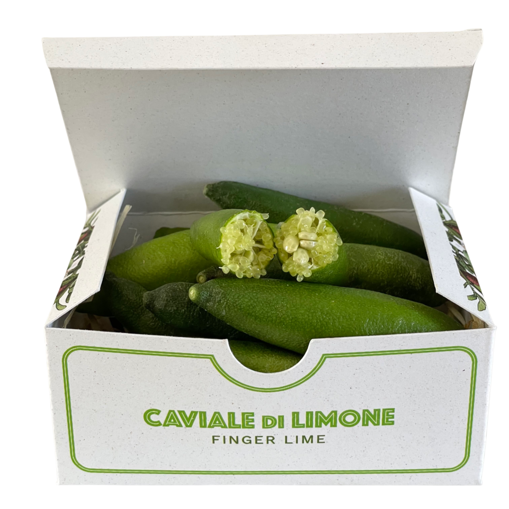 Limone Caviale di Sicilia - Finger Lime