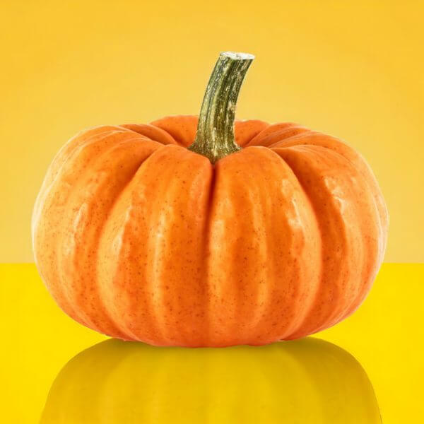 Muscat gourd 3/3.5kg