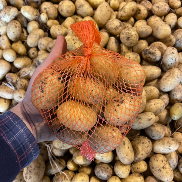 Syracuse Neue Kartoffeln im orangefarbenen Netz direkt aus Sizilien