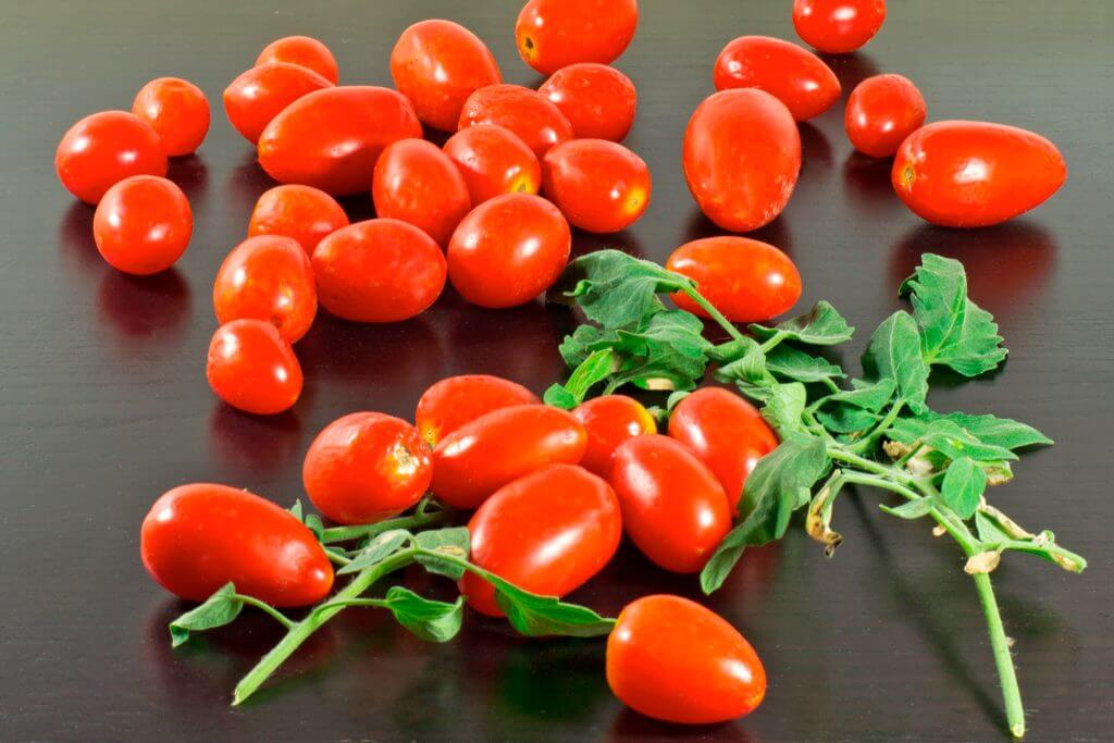 Tarte Rustique avec Tomate Datterino
