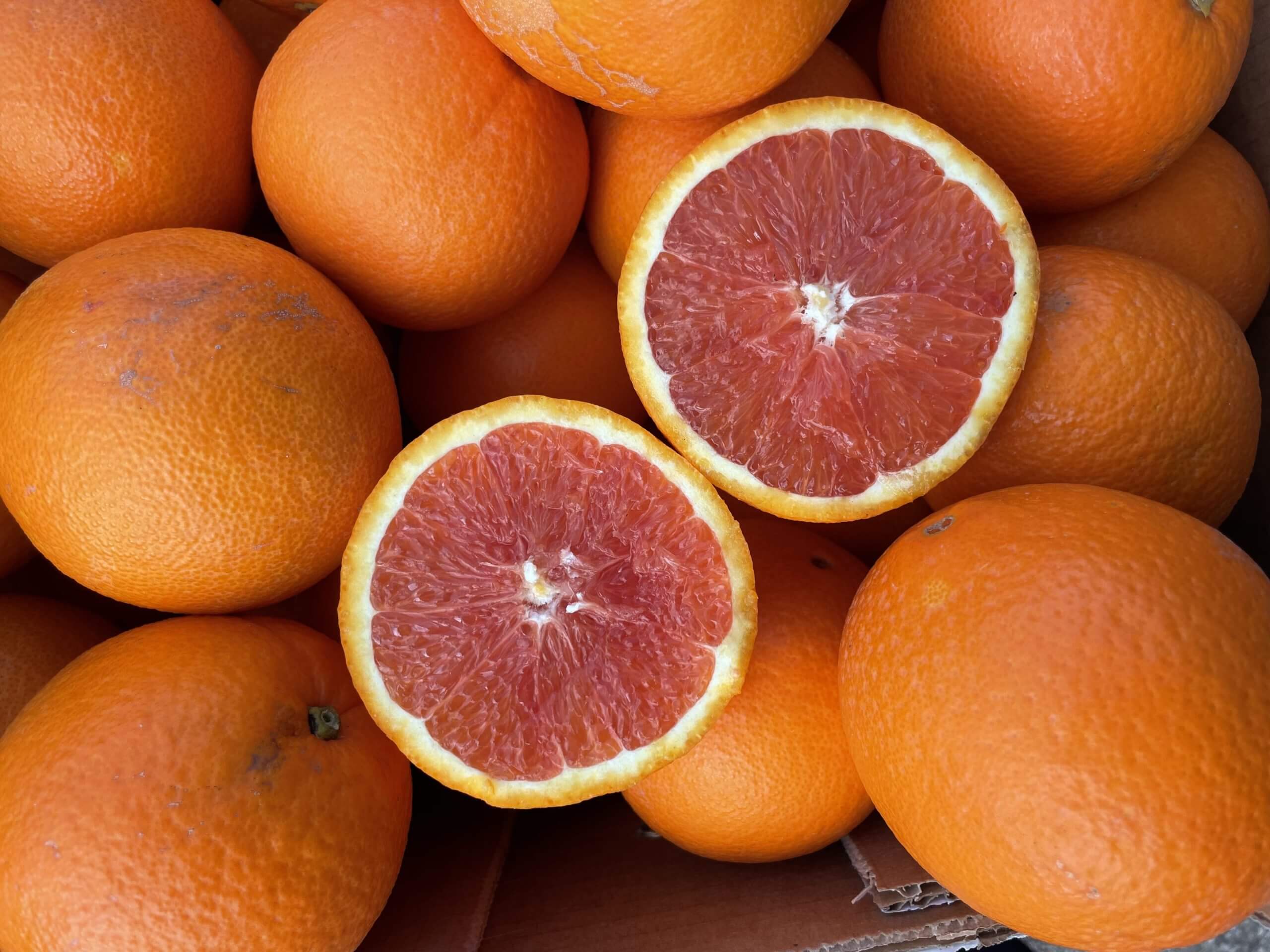 BIO Navel Cara Cara Orangen - Rosafarbenes Fruchtfleisch