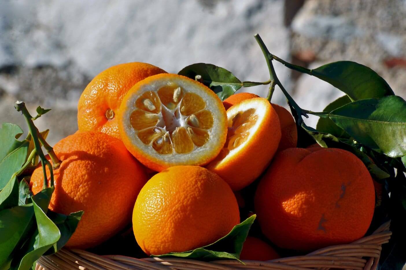 Bitter Oranges for Sicilian Marmalade - 100% Untreated Fruit
