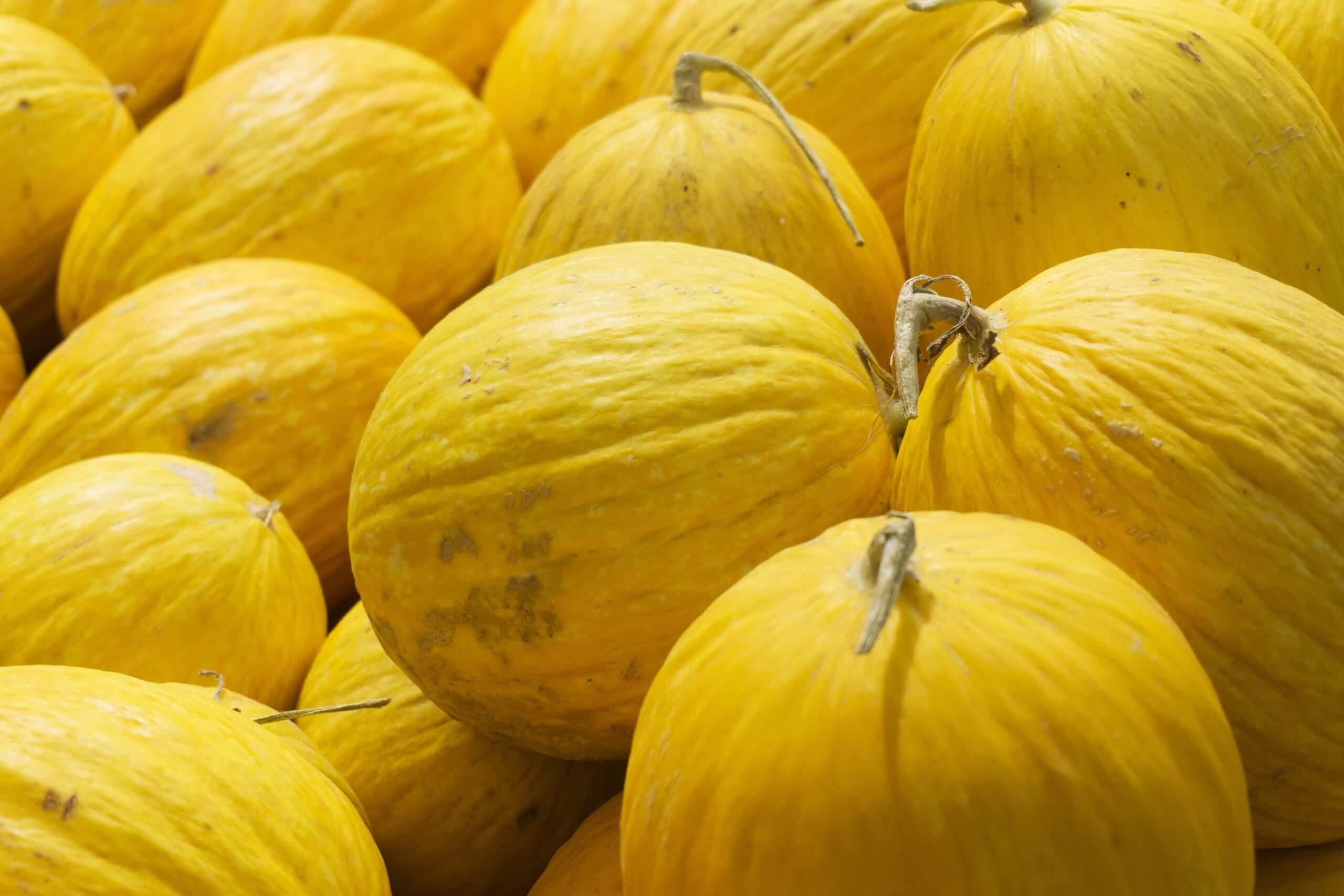 Melon Gialletto- 3pz - 6,5kg