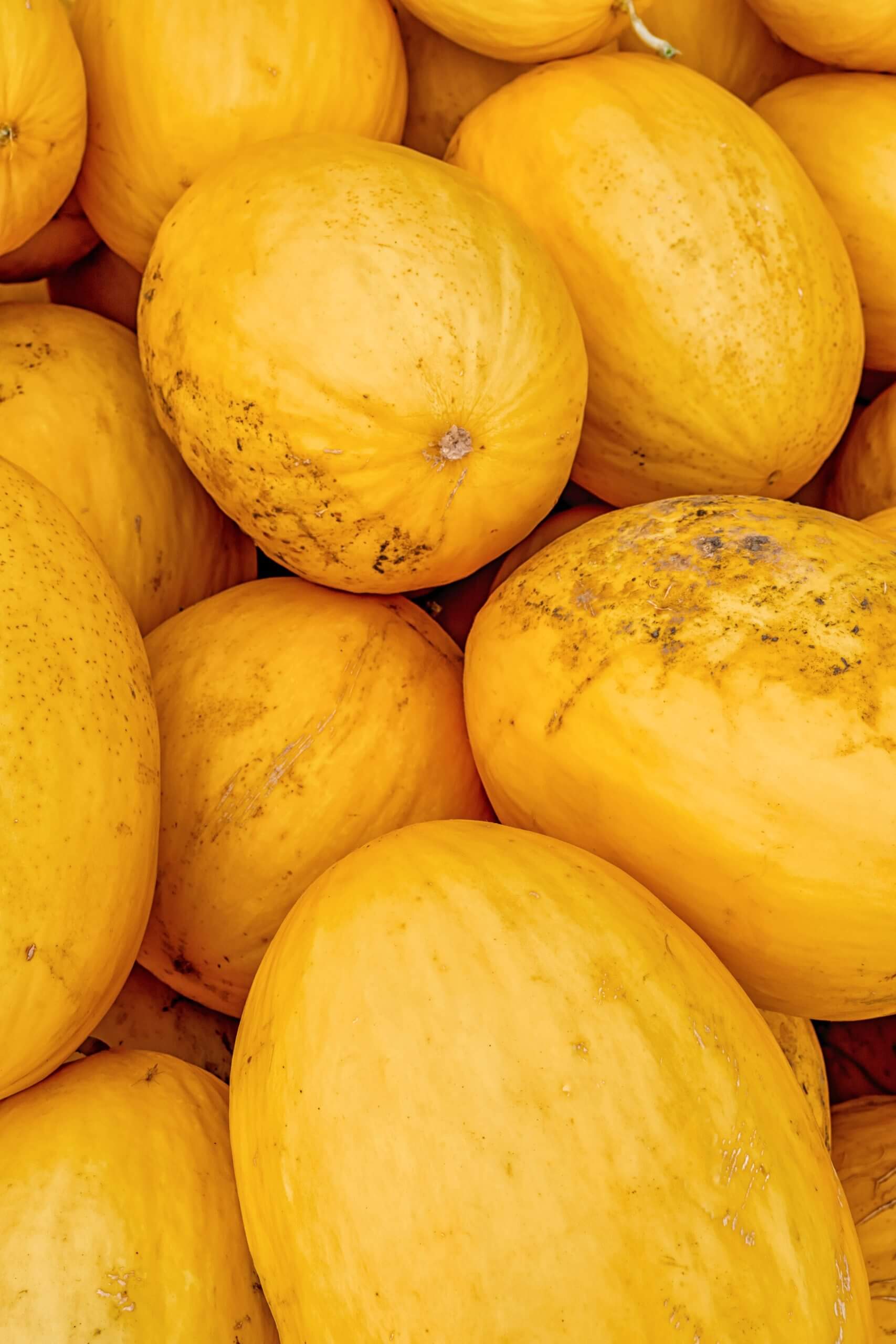 Melon Gialletto- 3pz - 6,5kg