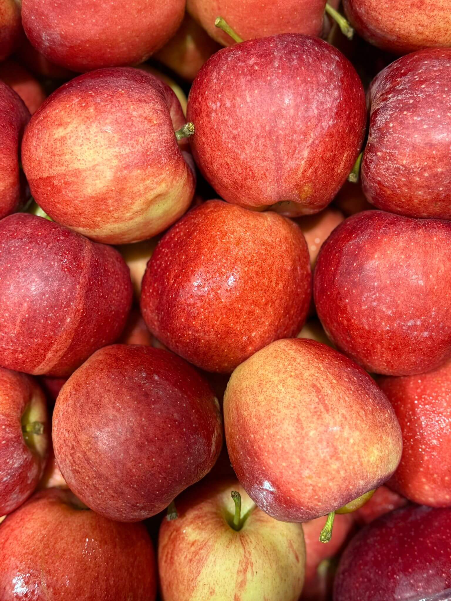 Small Apples Royal 1kg