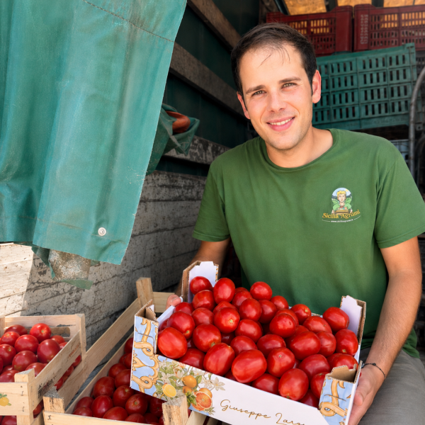 Ideale Cassetta Pomodoro da Salsa Sicilia Agrumi pomodori ovali rossi in cassa