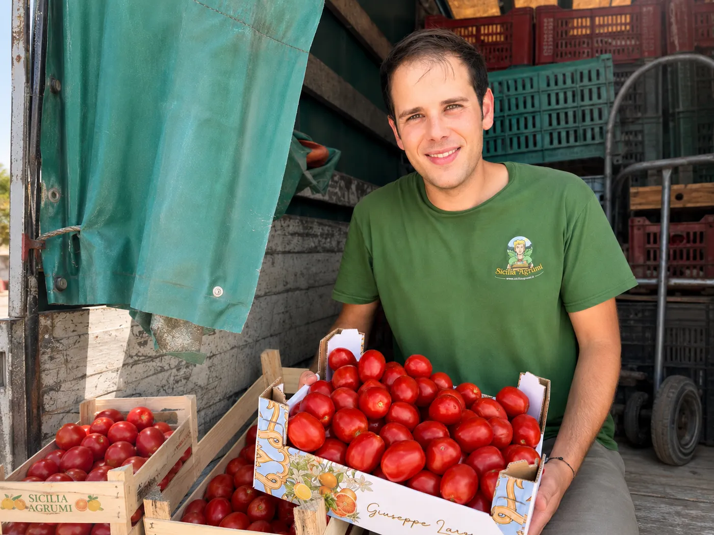Cassetta Pomodoro da Salsa Sicilia Agrumi - Ideale per Conserve