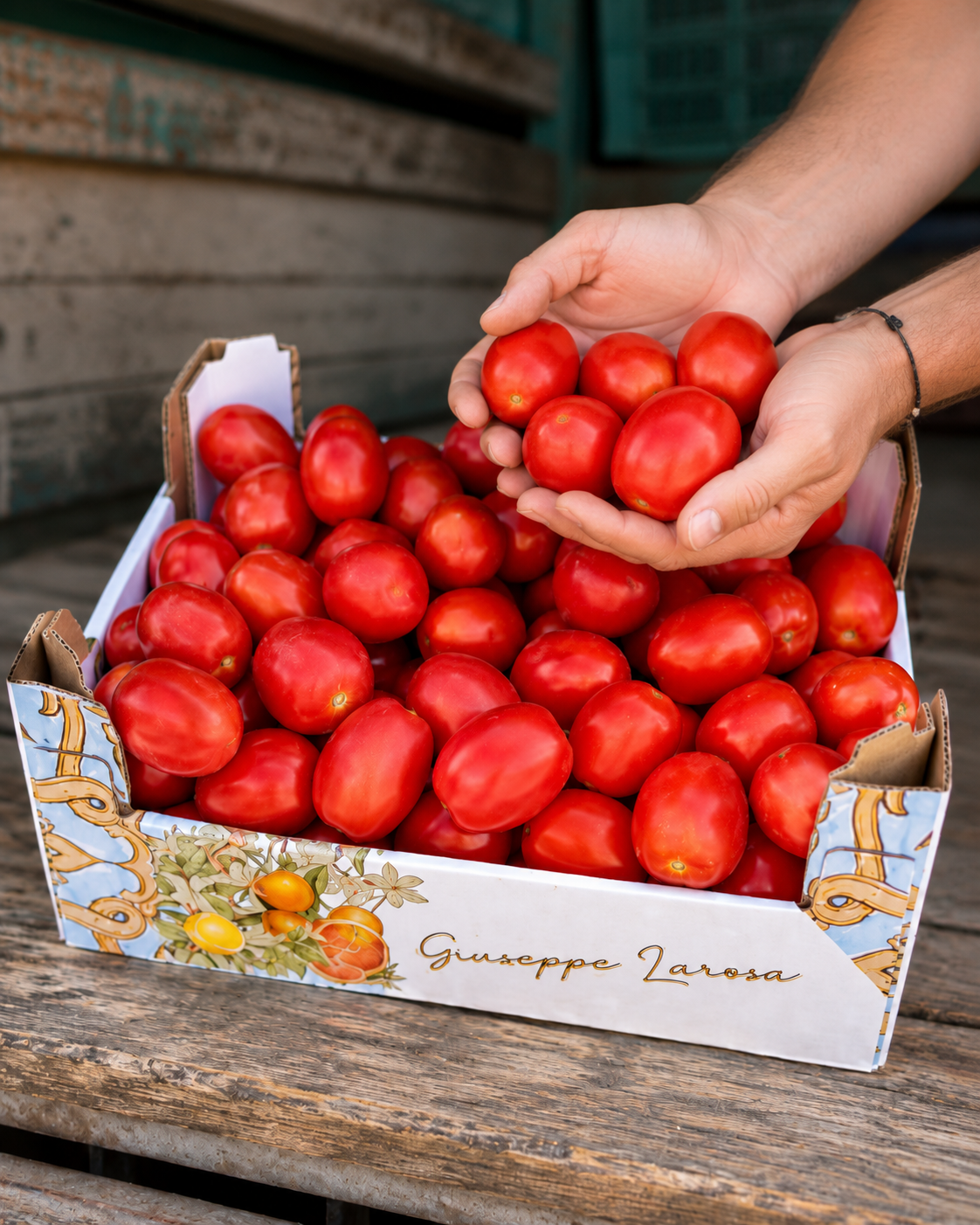 Cassetta Pomodoro da Salsa Sicilia Agrumi - Ideale per Conserve