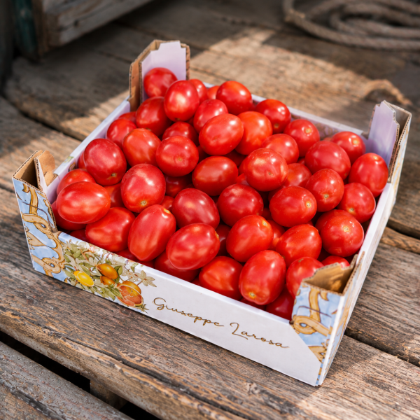 Ideale Cassetta Pomodoro da Salsa Sicilia Agrumi pomodori ovali rossi in cassa