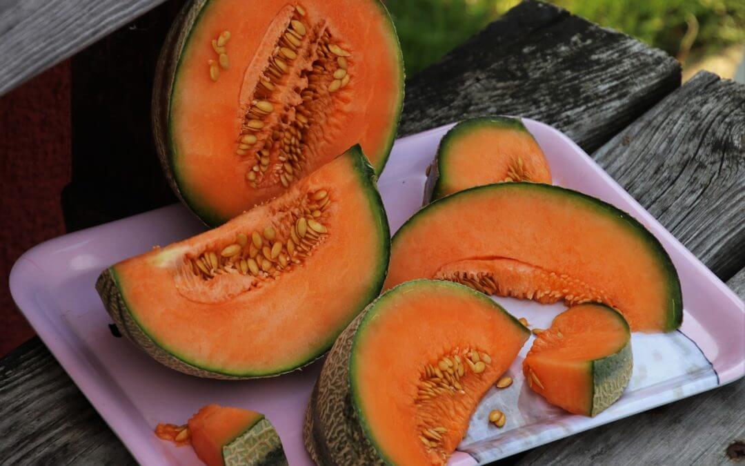 Melon cantaloup : caractéristiques, propriétés et mode d’emploi