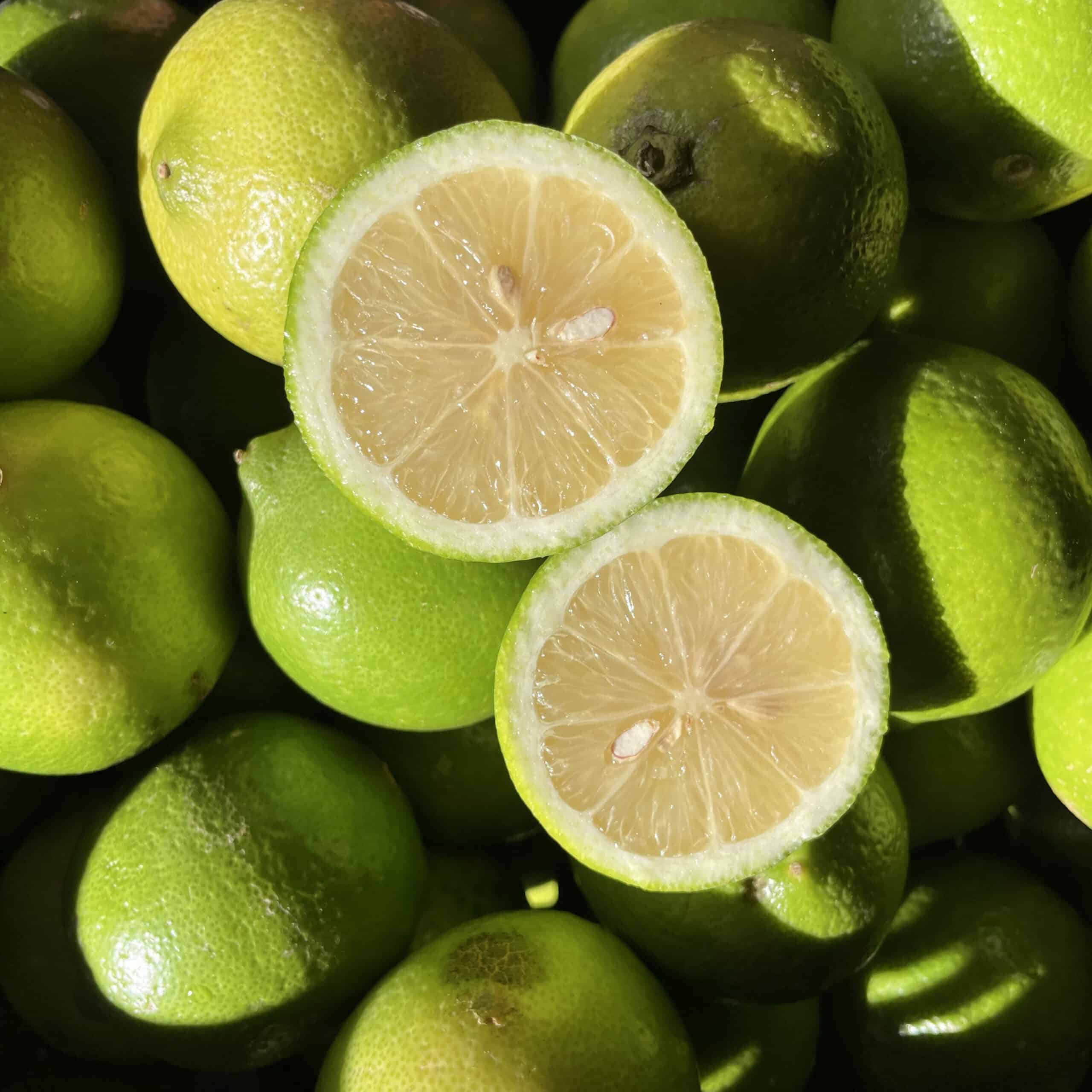 Citron Verdello BIO - Frais de Sicile (Été/Automne)