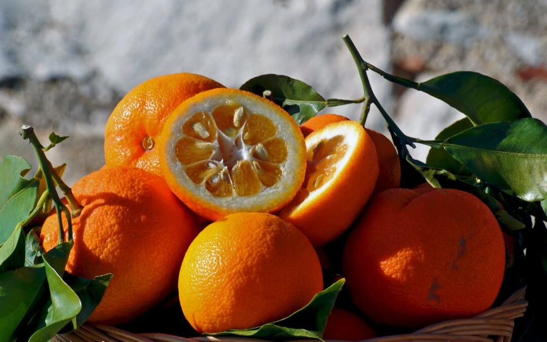 Oranges amères : découvrez les caractéristiques, les propriétés et les bienfaits
