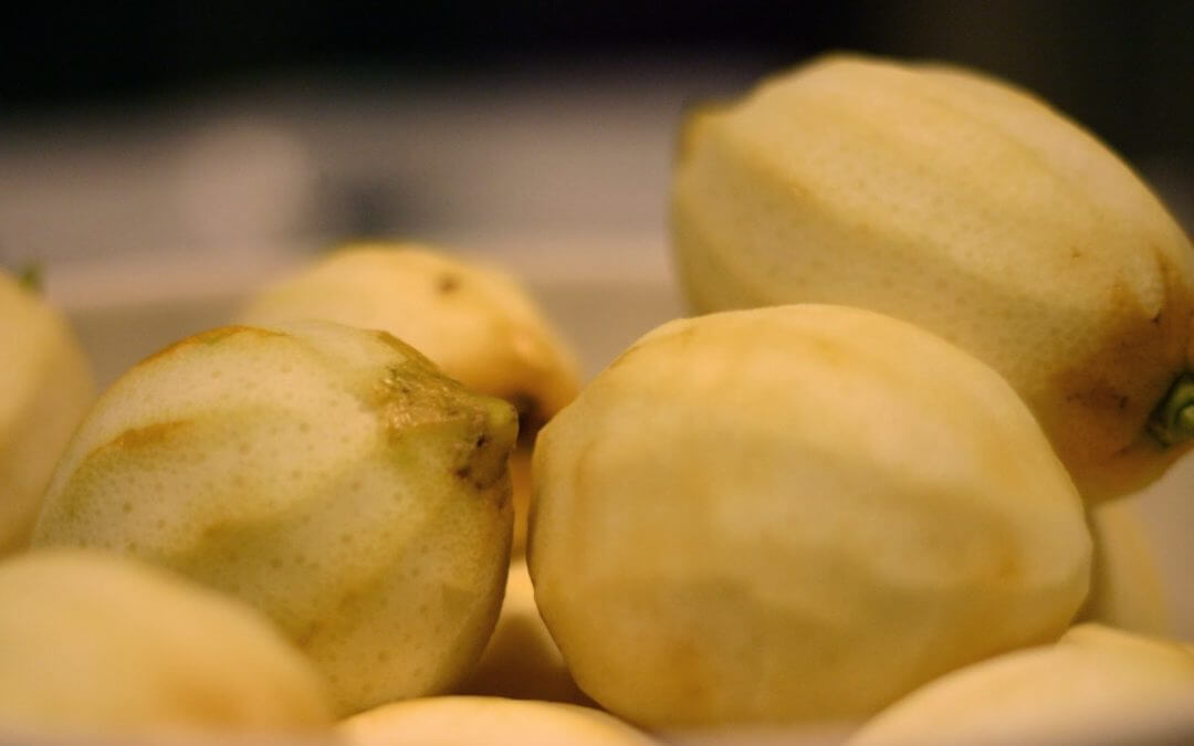 L&rsquo;albédo, la partie blanche du citron : Caractéristiques et recettes