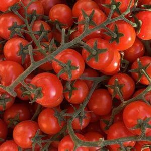 Tomates cerises