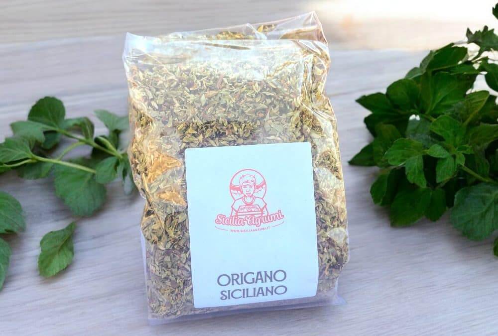 Origan de Sicile : comment le reconnaître, le conserver et l&rsquo;utiliser