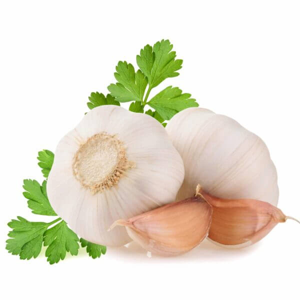 Sicilian Garlic 6 Heads
