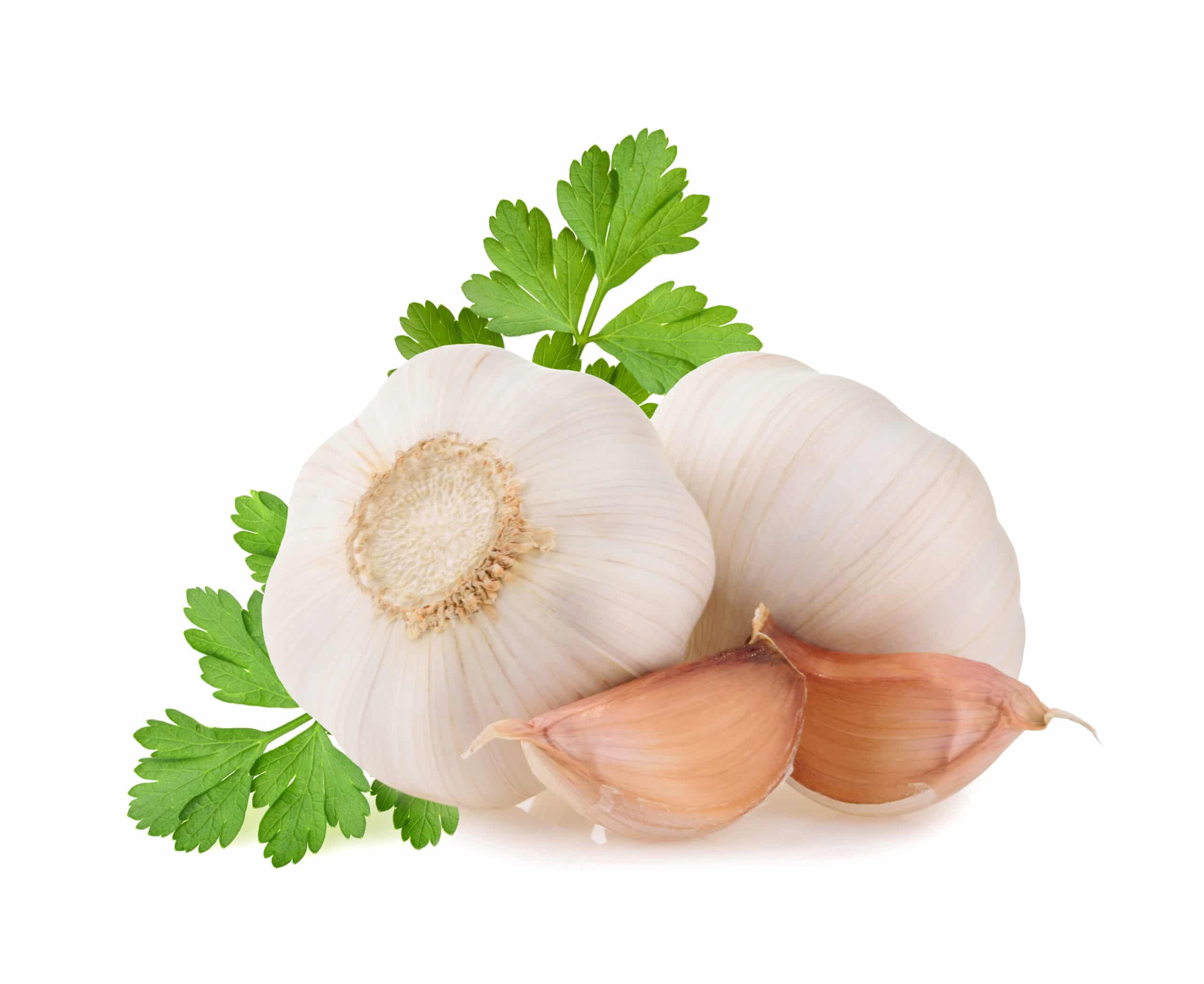 Sicilian Garlic 6 Heads