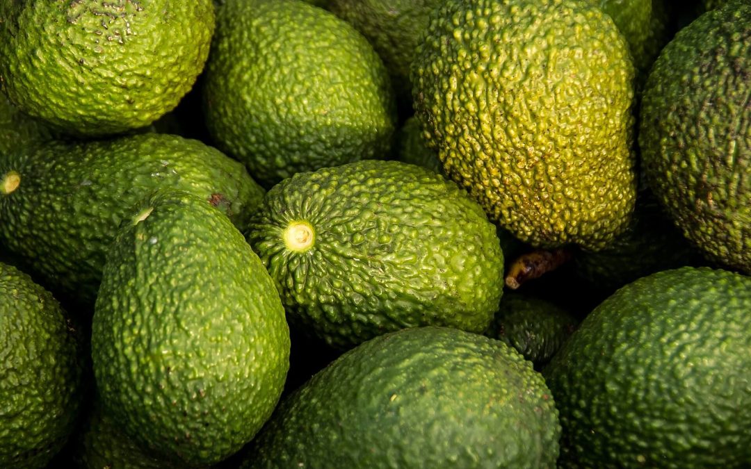 Avocat mûr : comment le reconnaître, le faire mûrir et éviter de l&rsquo;ouvrir trop tôt