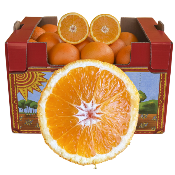 Oranges Vanille de Sicile