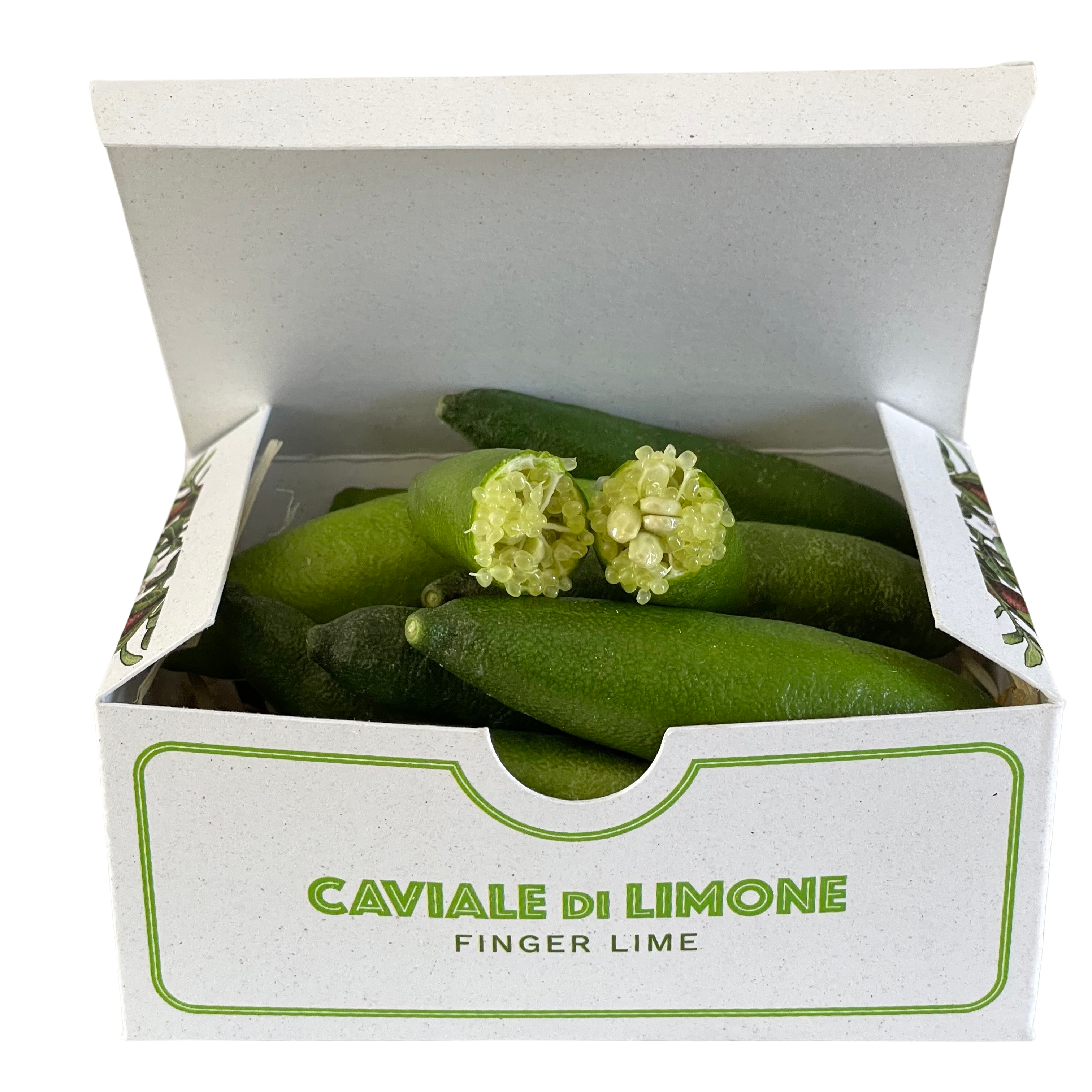 Limone Caviale di Sicilia, Fingerlime Green Italiano