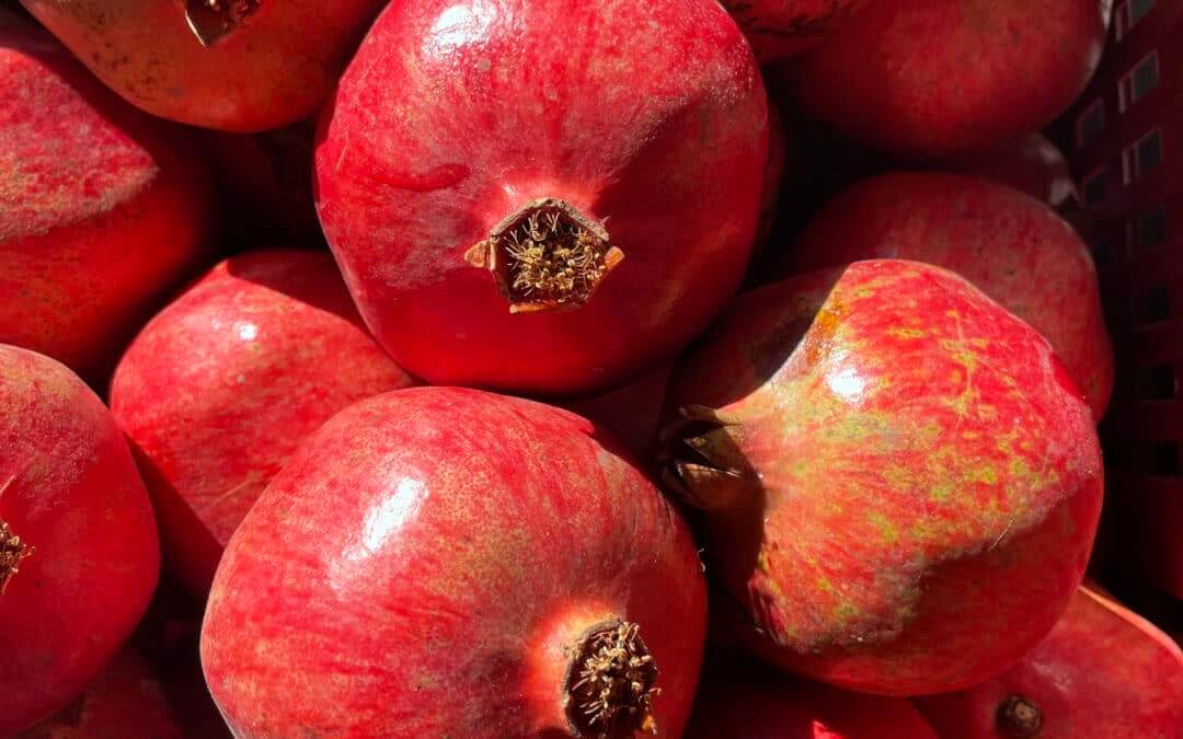 Sicilian Aco pomegranate: season, colour and flavour