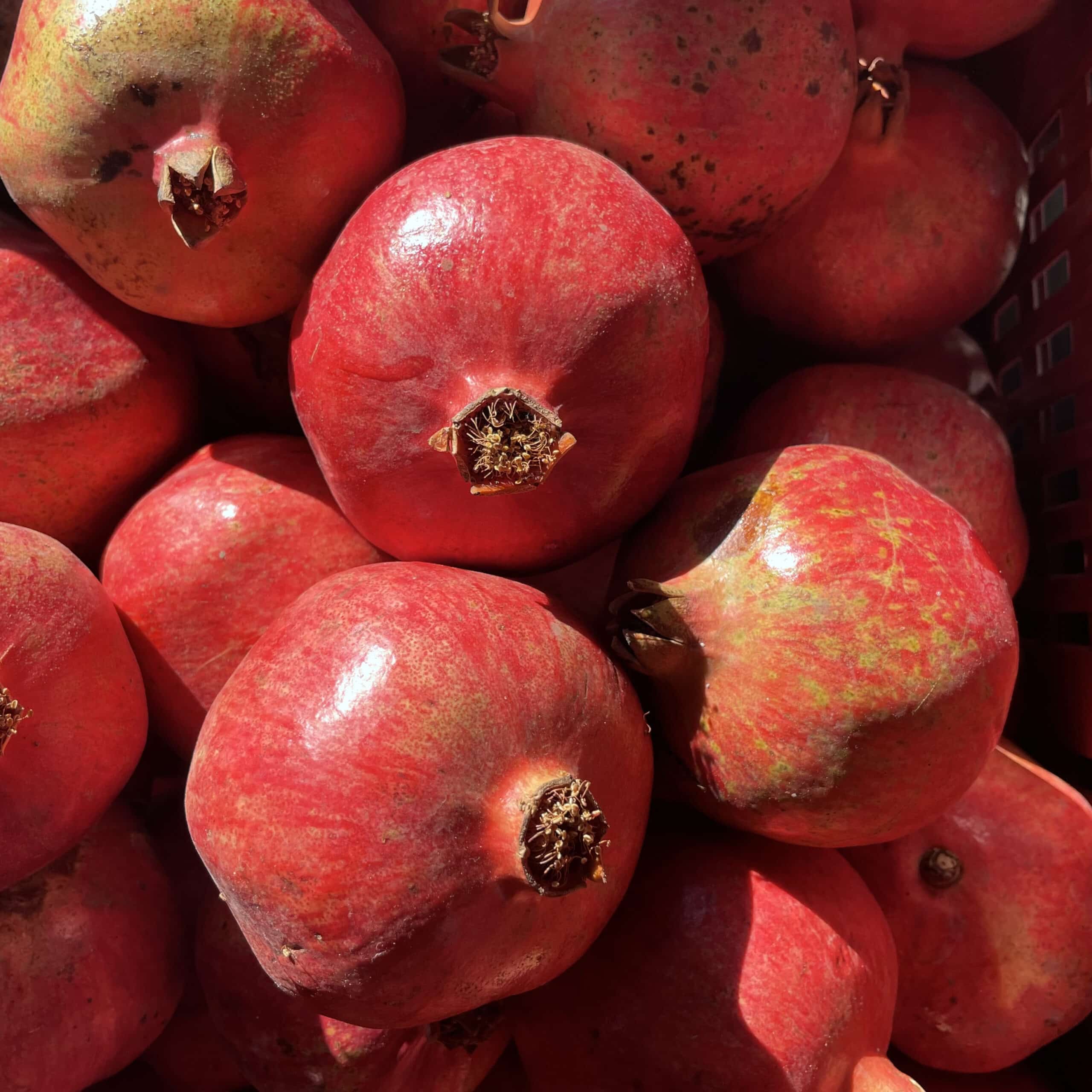 Granatapfel Wonderful Sizilianischer Online kaufen auf Sicilia Agrumi