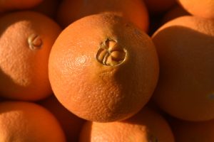 Grosses oranges Navel