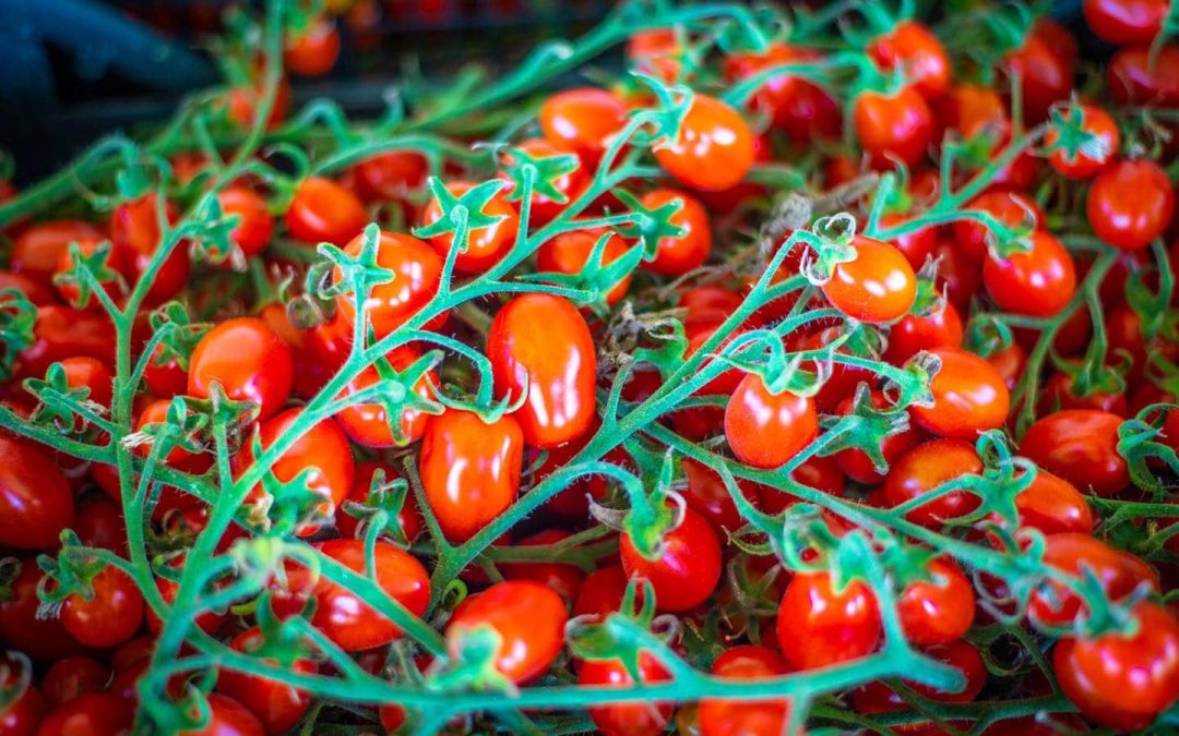 Apéritif sicilien à la maison : produits et accords