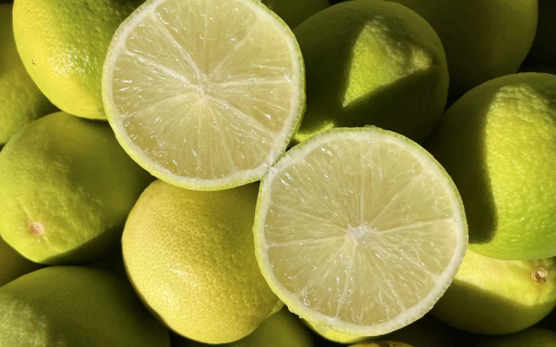 No-bake lime cheesecake: fresh and fragrant