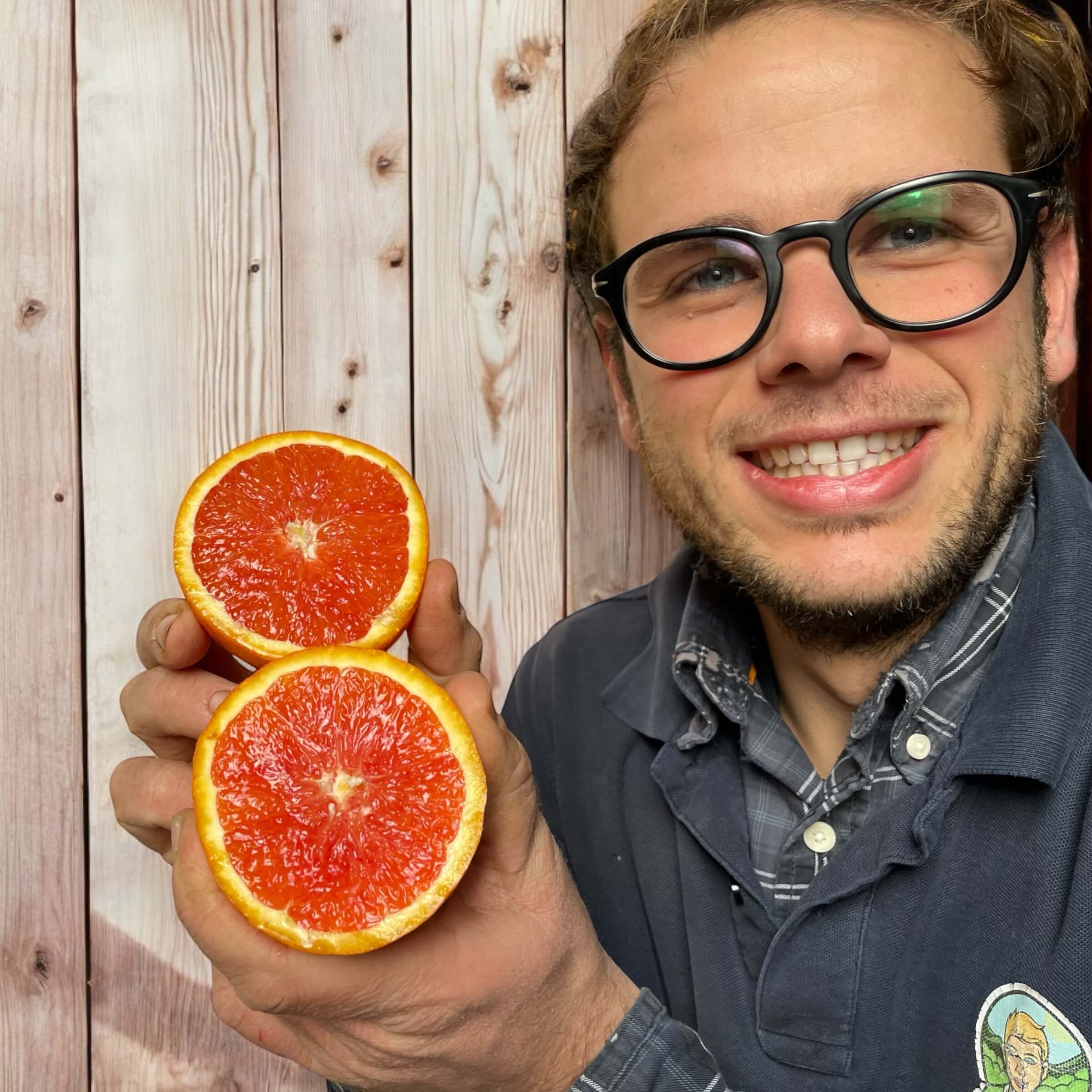 Arance Navel Rosa BIO "Cara Cara"