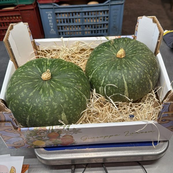 Dynia Delica 2-3kg z Solarino o zielonej skórce na naturalnym tle