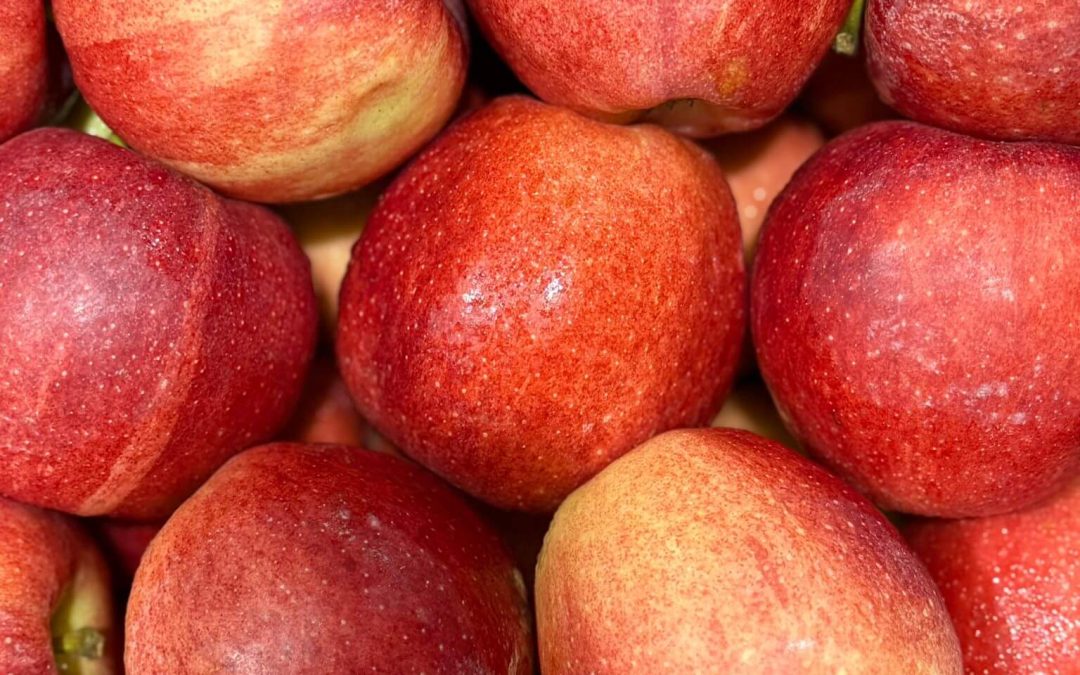 How to store Etna apples and use them without waste