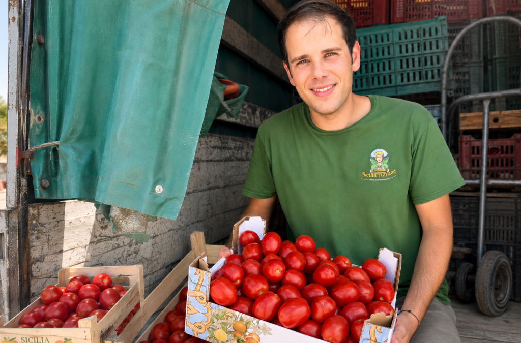 Oval tomatoes for passata: how many kilos do you need?